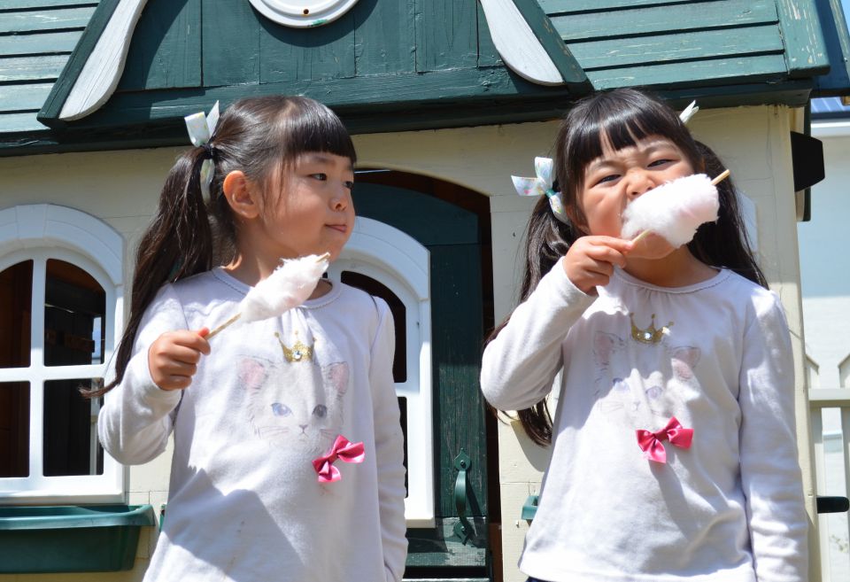 ナニーが果たす重要な役割と魅力